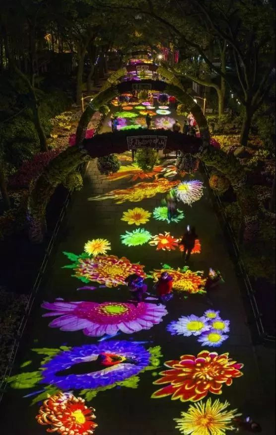 第十三屆中國(guó)(上海)菊花展覽會(huì)閉幕